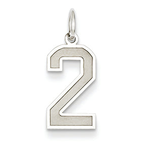 14K White Gold Medium Satin Number 2 Charm