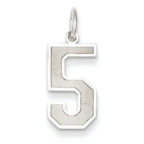 14K White Gold Medium Satin Number 5 Charm