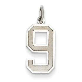 14K White Gold Medium Satin Number 9 Charm