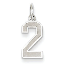 14K White Gold Small Satin Number 2 Charm