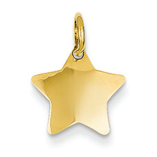 14K Gold Star Charm