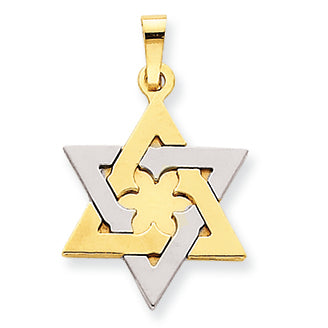 14K Gold Two-tone Star of David