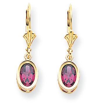 2.2 Carat 14K Gold 7x5mm Oval Rhodalite Garnet leverback earring