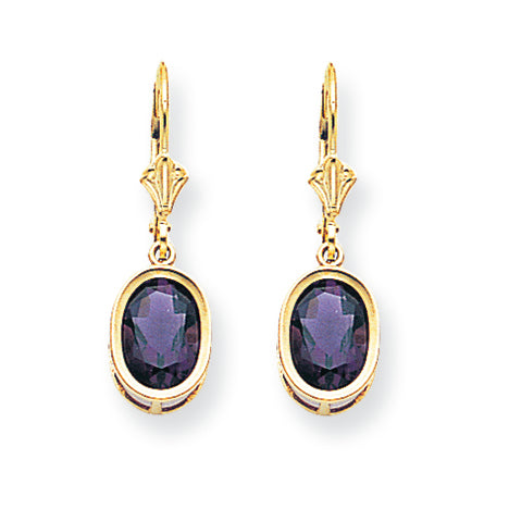 3.4 Carat 14K Gold 9x7mm Oval Amethyst leverback earring