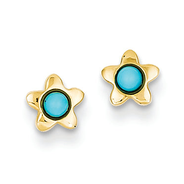 14K Gold Polished Turquoise Star Post Ear